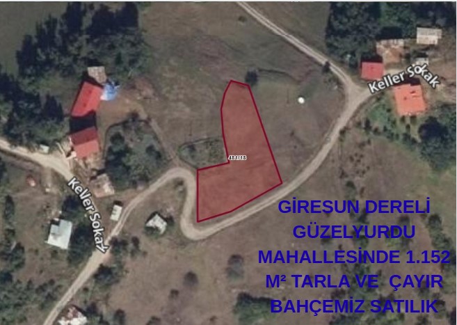 GİRESUN DERELİ GÜZELYURDU MAHALLESİNDE 1.152 M² TARLA VE  ÇAYIR BAHÇEMİZ SATILIK - GİRESUN DERELİ fotoğraf 6
